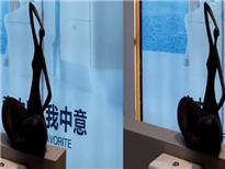 左右格式2011唐山陶博會
